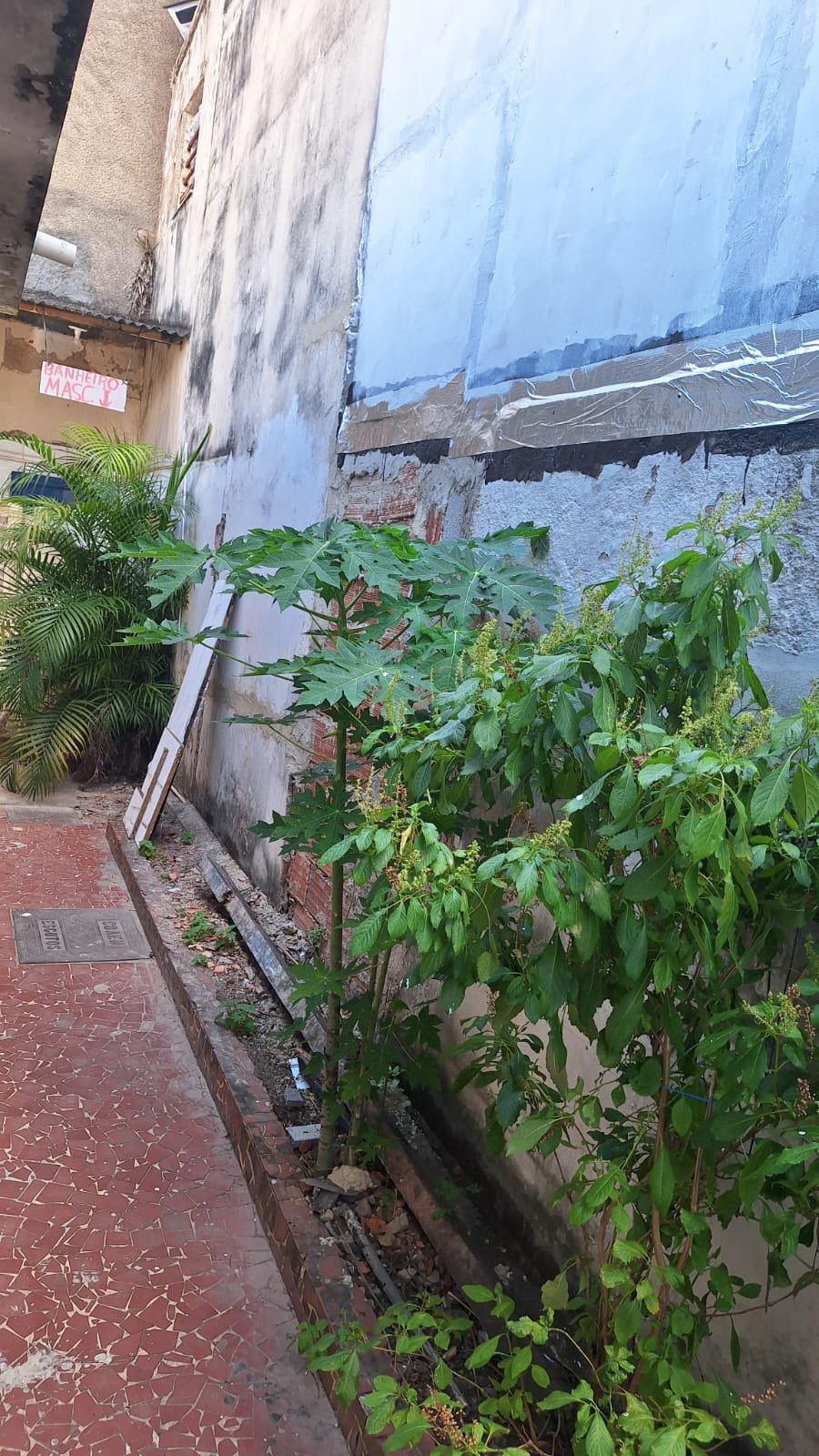 CS00012-  Casa a venda no centro de São Gonçalo