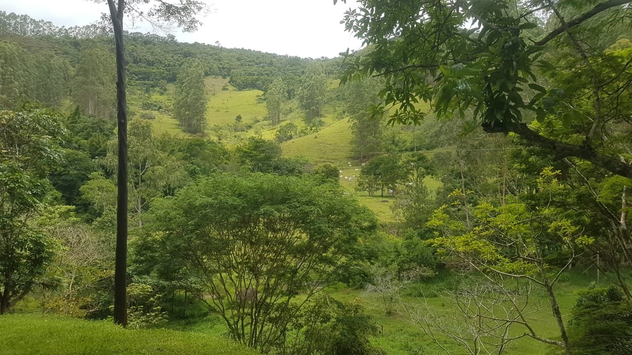 FA0003  - Oportunidade Exclusiva: Fazenda de Alto Padrão em Matias Barbosa – MG