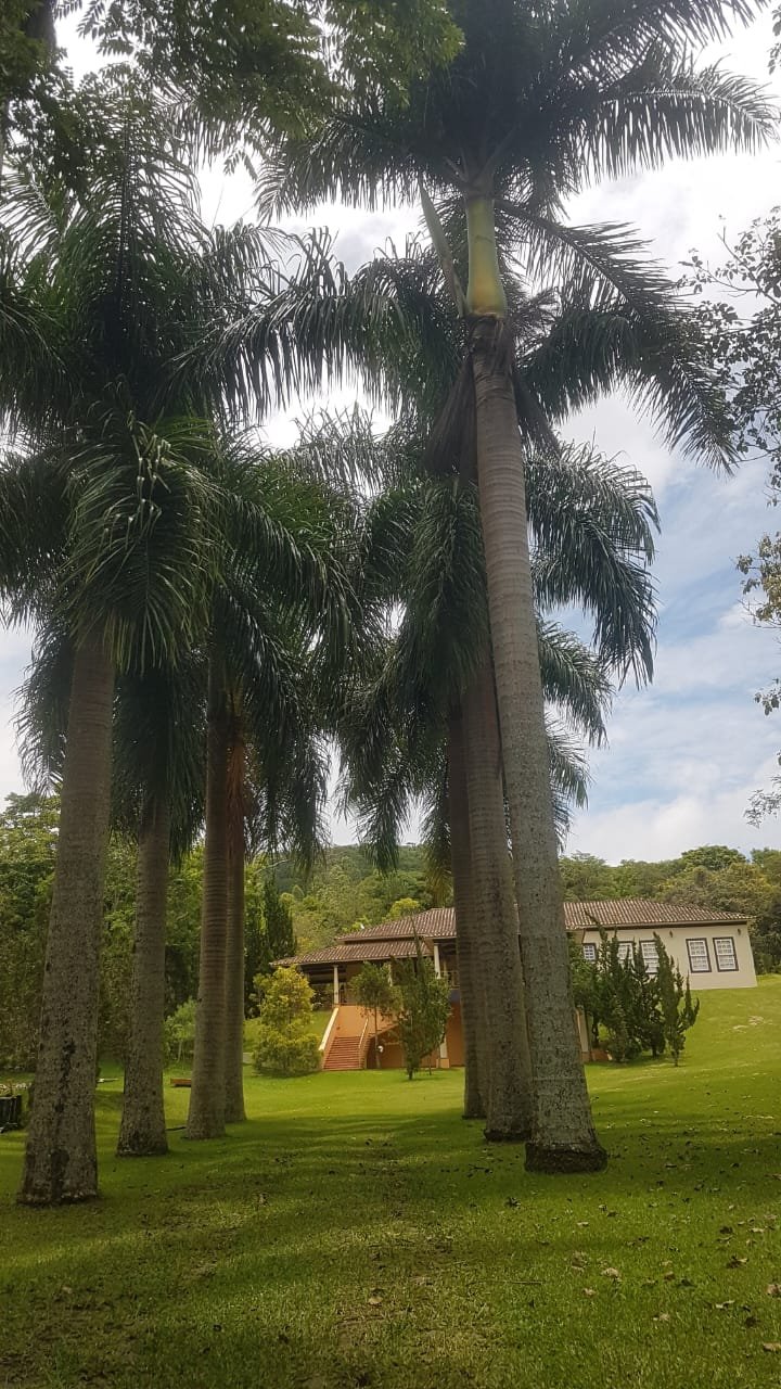 FA0003  - Oportunidade Exclusiva: Fazenda de Alto Padrão em Matias Barbosa – MG